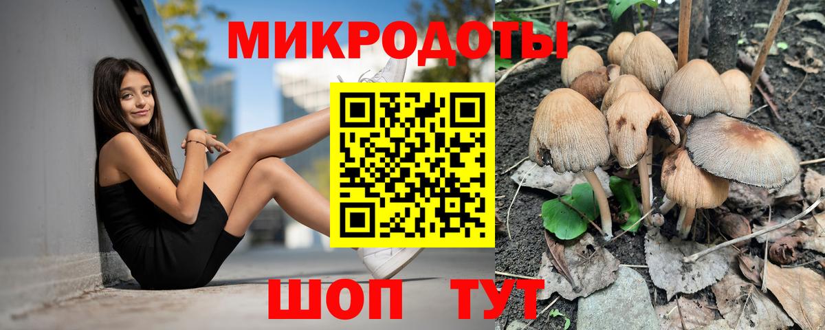 Псилоцибиновые грибы Psilocybine cubensis Орехово-Зуево