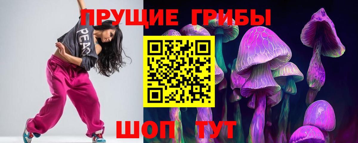 Галлюциногенные грибы Psilocybe  Вход с VPN  Псилоцибиновые грибы GOLDEN TEACHER  Орехово-Зуево 